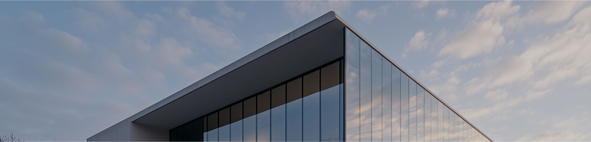 技術優勢 技術優勢